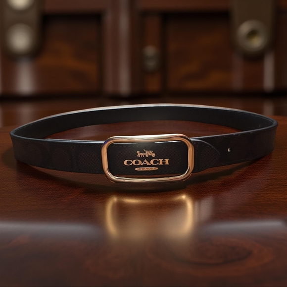 Coach Accessories - COACH Brown Belt With "C" In Darker Brown, Gold Coach Symbol As Belt Buckle. S